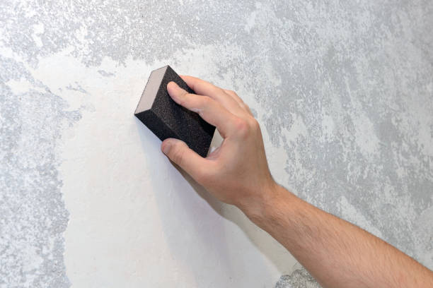 Best Mold-Related Health Consultation  in Ocean Grove, NJ