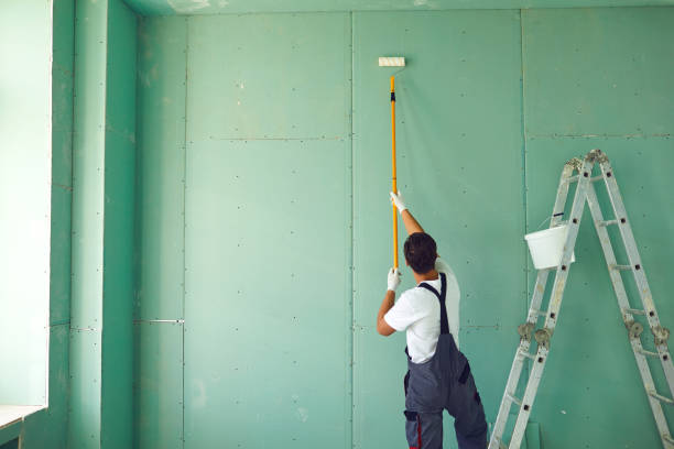 Professional Mold Removal in Ocean Grove, NJ