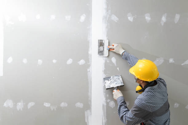 Best Water Damage & Mold Remediation  in Ocean Grove, NJ