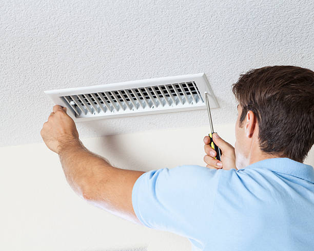 Best Mold Damage Restoration  in Ocean Grove, NJ