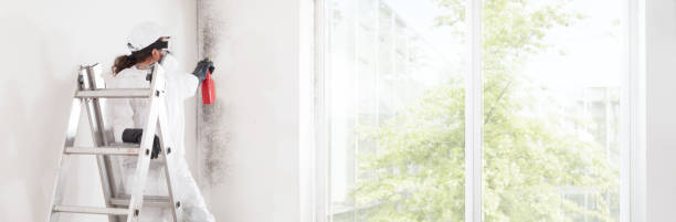 Best Indoor Air Quality Assessment  in Ocean Grove, NJ